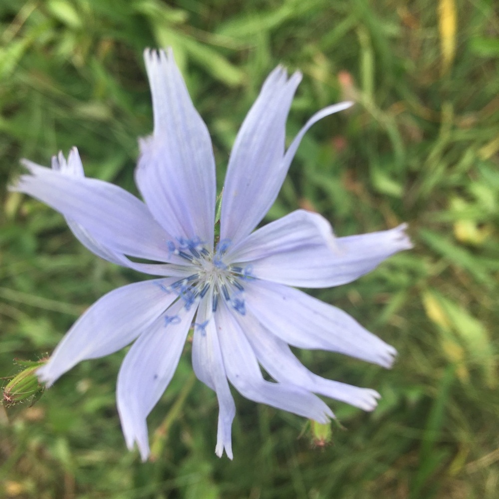 Meet your Posher, Janice